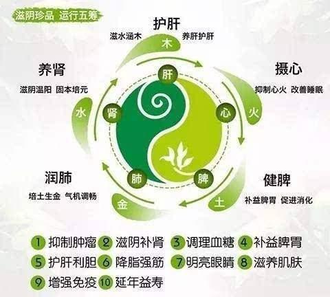 鐵皮楓斗有什么用途適和那些人吃