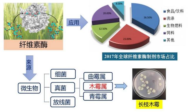 廢紙科學(xué)的處理方法