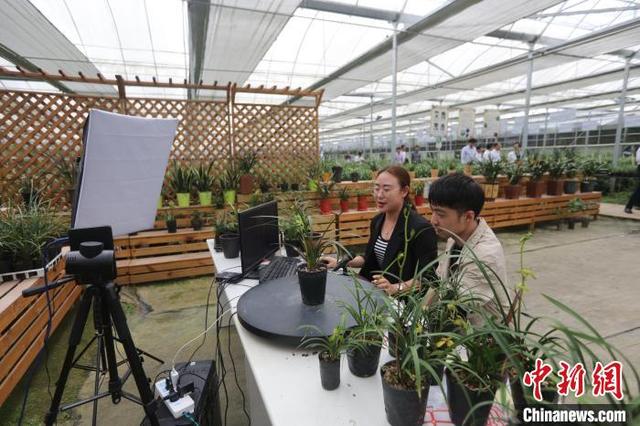 鐵皮分條零售加工用途