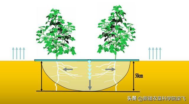 鐵粉在農(nóng)業(yè)方面的用途