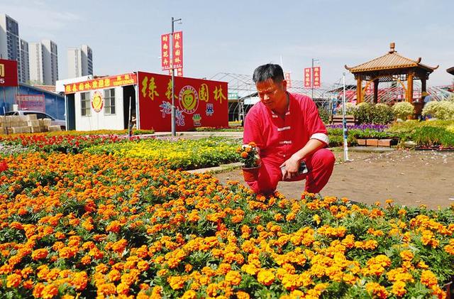 螺紋鐵園林用途